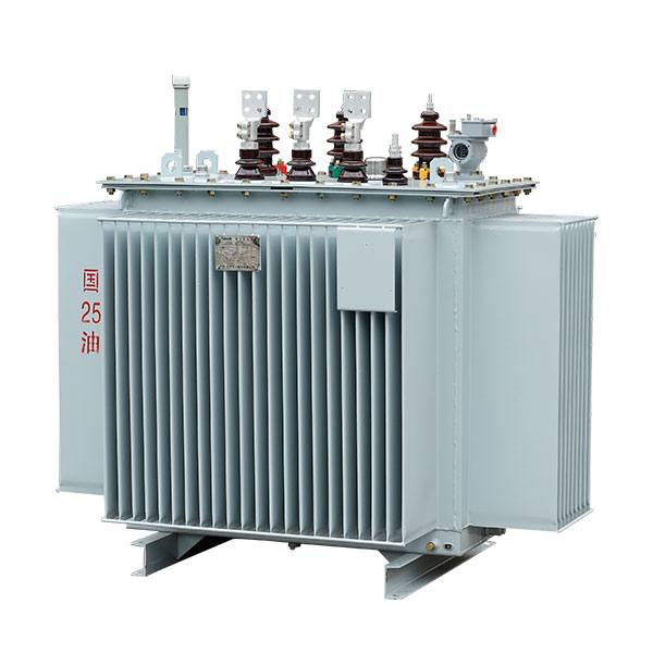 S13-M-30-2500/10 Fully Sealed Distribution Transformer